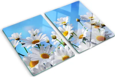 Produktbild von Tulup Glas Herdabdeckplatte - 2x40x52 cm - Glaskeramikkochfeld-Abdeckung Spritzschutz Glasabdeckplatte Kochplattenabdeckung und Schneidebrett - Zweiteilig - Blumen & Pflanzen - Gänseblümchen - Weiß