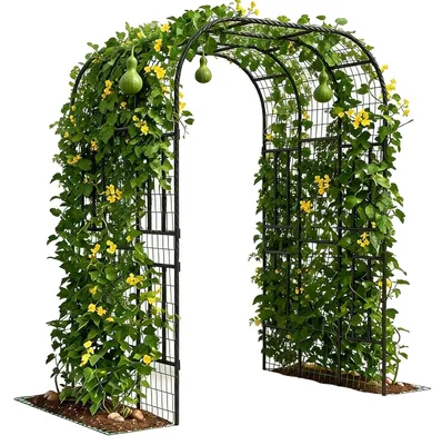 Produktbild von Gartenbogen-Spalier, polyethylenbeschichteter Stahl, Kletterpflanzenstütze, Schwarz
