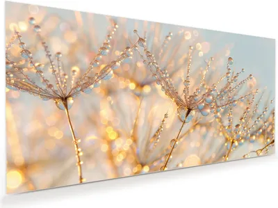 Produktbild von Glasbild 110x55cm in XXL für Wohnzimmer, Schlafzimmer Motiv Tautropfen Panorama
