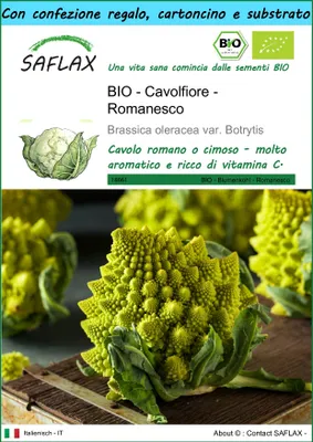 Immagine prodotto di SAFLAX Set regalo -- Cavolfiore - Romanesco - 50 semi - Brassica