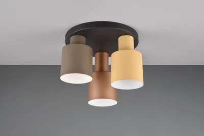 Produktbild von Trio Leuchten LED-Deckenleuchte Agudo E27 schwarz Metall