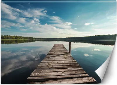Produktbild von Vlies fototapete Blick vom Steg über den See und den Wald 368x254 cm Feeby Blau inkl. Kleber einfache Montage
