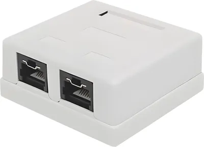 Image de Intellinet 771467 Intellinet Abschließbare Cat6-Aufputzdose 2 Ports UTP. weiß