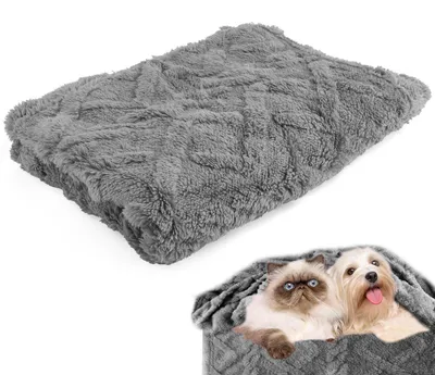 Image de Couverture pour chien, couverture pour chat, 70x100 cm, lavable, couleur grise