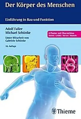 Produktbild von Der Körper des Menschen