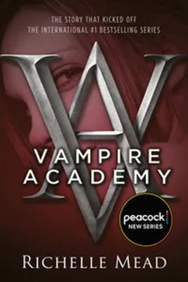 Produktbild von Vampire Academy 01