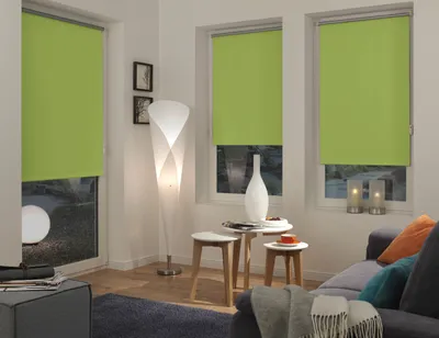 Produktbild von Gardinia EASYFIX Rollo Thermo ENERGIESPAREND 247 apfel 120 x 150 cm
