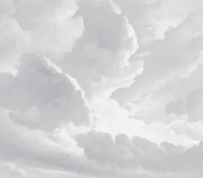 Obrázek produktu pro Sanders & Sanders Tapety Clouds Grey 318 x 280 cm