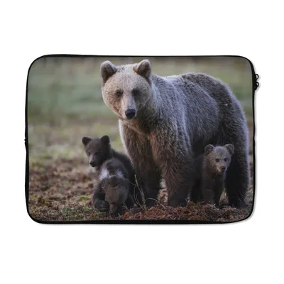 Produktbild von MuchoWow® Laptop Hülle 13 Zoll Bärenmutter mit Jungtieren Laptoptasche - Laptophülle - Sleeve - Rundumschutz