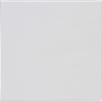 Produktbild von KOPP HK07 Flächenwippe 490029008 reinweiß