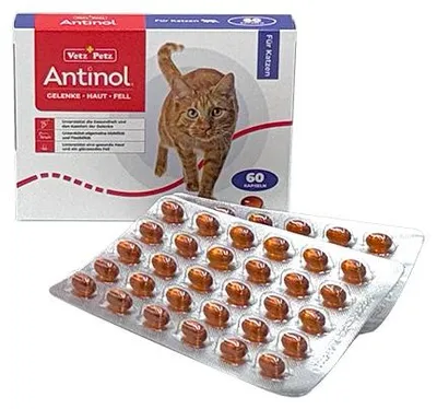 Produktbild von Antinol Katze 60 Kapseln