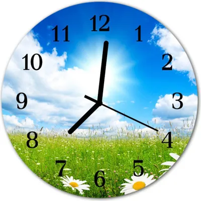 Produktbild von Glasuhr Wanduhr Küchenuhr Echt-Glas 30fi cm Wiese Blumen mehrfarbig