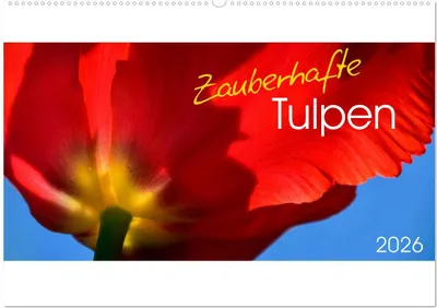 Produktbild von Zauberhafte Tulpen (Wandkalender 2026 DIN A2 quer), CALVENDO Monatskalender