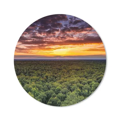 Produktbild von MuchoWow® Mauspad Mousepad Wald - Nacht - Himmel - Horizont - Bäume 50x50 cm - Mousepads - Maus Mat - Pad - Mausunterlage - Vinyl