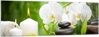 Produktbild von Bilder auf glas - Blume aromatherapie spa - 160x50cm - Glasbilder - Wandbilder - Kunstdruck - zum Aufhängen bereit - Wanddekoration aus Glas - Glas Bilder - Wandbild auf Glas - GAB160x50-2718
