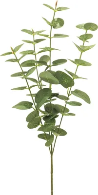 Produktbild von artplants.de Künstlicher Zweig Eukalyptus MINJIA, grün, 65 cm - Eukalyptuszweig künstlich