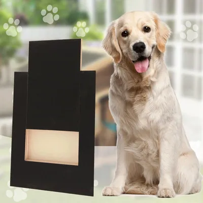 Produktbild von Nagelkratzbrett für Hunde mit versteckter Leckerli-Schublade, Nagelfeilenpad aus Holz, Alternative zur Hundeschere, schonendes Schleifen für alle Hundegrößen