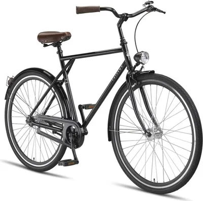 Produktbild von Altec Cityräder Herren Palermo 28 Zoll 56 cm Herren Rücktrittbremse Schwarz