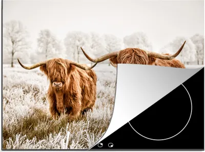 Produktbild von KitchenYeah© Herdabdeckplatte Schottischer Highlander - Tiere - Stier , 77x59cm, Küche Deko, Glaskeramikkochfeld Herdabdeckung, Abdeckplatte fùr Kochfeld