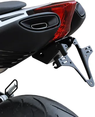 Image de ZIEGER Basic Support de plaque d'immatriculation compatible avec Aprilia SMV 750 Dorsoduro