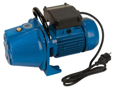 Bewässerungspumpe Ecop 160, 900 W, 3600 l/h, 4,2 bar, Gusseisen