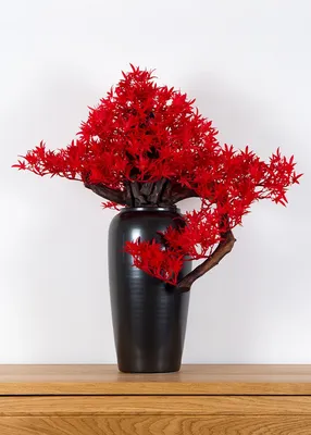 Obrázek produktu pro Pokojová dekorativní bonsai ve váze - Javor (PN-21)