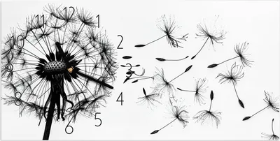 Produktbild von Wanduhr aus Glas mit Motiv Pusteblume- 60 x 30 cm - inkl. Aufhängesystem