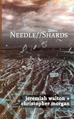 Produktbild von Needle // Shards