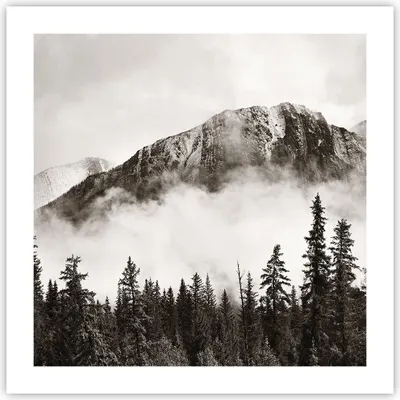 Produktbild von Poster - Poster ohne Rahmen - Nebel Berg Wald - 50x50 cm - Wand Bild - Wanddeko - Wandbilder - Kunstposter - Wandposter - Bilder - Kunstdruck - Wanddekoration - Wandbild - P2XAC50x50-4936