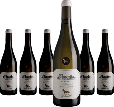 Produktbild von 6 x Collavini Benedete Ribolla Gialla IGT Venezie Giulia