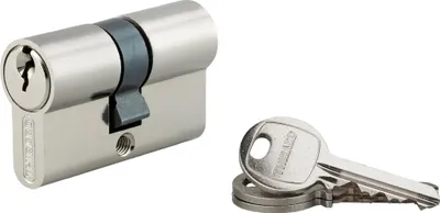Image de Cylindre de serrure double entrée SA, 25 x 25 mm, anti-arrachement, nickel, 3 clés - 1 pièce - THIRARD - 00016247