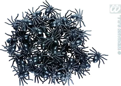 Produktbild von Dekospinnen 60er 8003558823802