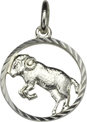 Produktbild von F Anhänger 925/- Sterling Silber 2,1cm weiß 371240541WI
