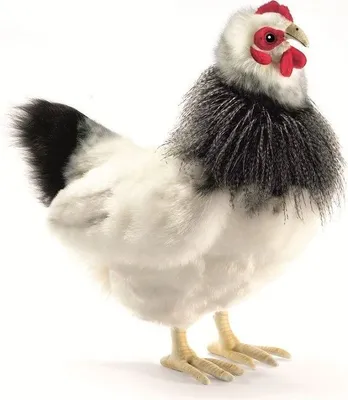 Produktbild von Huhn Frankreich schwarz-weiß-grau 30 cm