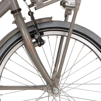Produktbild von Alpina Fork 22 Frachtmotor mit Matt