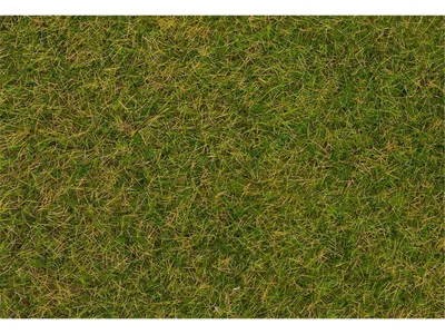 Produktbild von Faller 170231 Streufasern Wildgras, Frühsommerwiese, 4 mm, 80 g Epoche