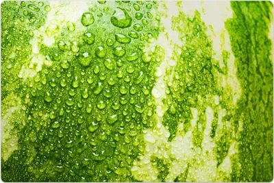 Produktbild von Küchenmatte 80x120 cm Vinylmatte Bodenmatte Dekoration - Wassertropfen Wassermelone