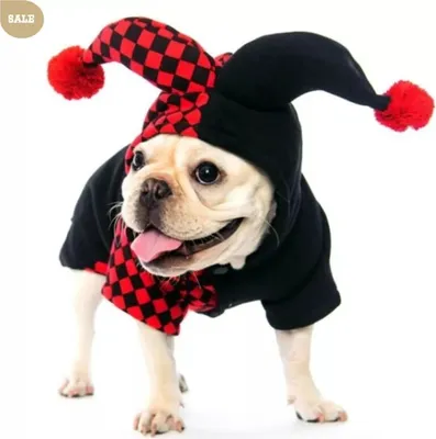 Produktbild von Hundekleidung Hoodies Halloween Cosplay Clown Kostüme Welpen Kätzchen Bekleidung Kleidung für kleine Hunde Kitty Puppy Bullterrier - S