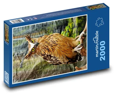 Zdjęcie produktu dla martinpuzzle - Puzzle 2000 - Sowa - ptak