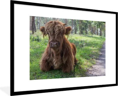 Produktbild von MuchoWow® MuchoWow® Gerahmtes Poster Schottisches Hochlandrind - Kröte - Tiere 90x60 cm - Poster mit zchwarzem Bilderrahmen - Wanddekoration - Fotos