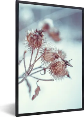 Produktbild von MuchoWow® Gerahmtes Poster Pflanzen - Winter - Schnee - Natur 60x90 cm - Poster mit Schwarzem Bilderrahmen Wandposter Rahmen Foto Bilder - Kunst