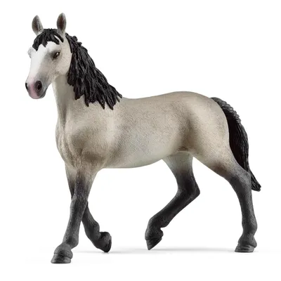 Image de Cheval de Selle Français Jument