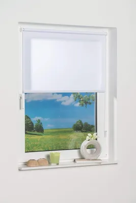 Klemmfix-Minirollo Tageslicht 200x70 cm Weiß