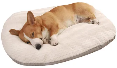 Immagine prodotto di Cuccia ovale per cani XL, 95 x 75 cm, lavabile, morbida, calda e confortevole, ideale per cani e gatti