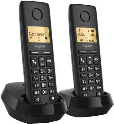 Image de Gigaset PURE 100 Duo