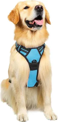 Produktbild von Hunde-Halsband, antitrekkendes und atmungsaktives Brusthalsband, verstellbar und weich für große, mittelgroße oder kleine Hunde und Welpen