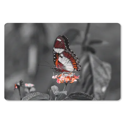 Produktbild von MuchoWow® Mauspad Mousepad Schmetterling - Tiere - Blumen - Schwarz und weiß - Orange 27x18 cm - Mousepads - Maus Mat - Pad - Mausunterlage - Büroartikel - Desk Matten