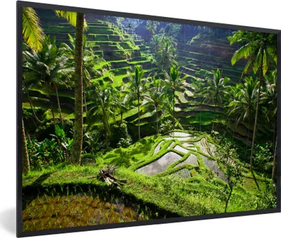 Produktbild von MuchoWow® MuchoWow® Gerahmtes Poster Spektakuläre Reisfelder nördlich von Ubud 60x40 cm - Poster mit zchwarzem Bilderrahmen - Printing - Wanddeko Schlafzimmer
