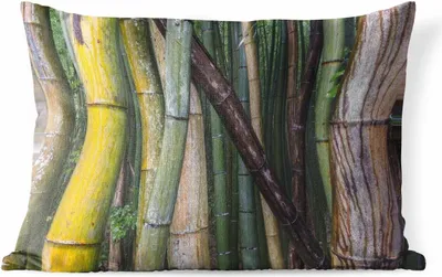 Produktbild von MuchoWow® Outdoor Kissen - Viele Bambusarten im Arashiyama-Bambuswald in Japan - 60x40 cm - Wetterfest - Lounge Kissen - Zierkissen - Kissen für Innenräume
