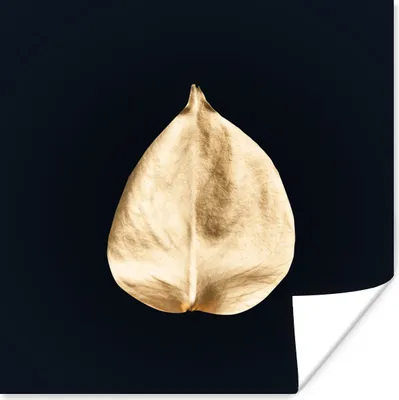 Produktbild von MuchoWow® Poster Blätter - Schwarz und Gold - Schwarz - Gold - Luxus 75x75 cm - Wand Dekoration